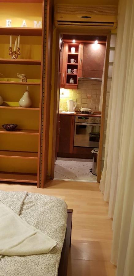 Obuda Apartment Budapest Eksteriør bilde